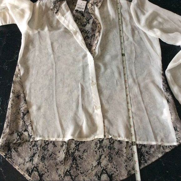 Sheer LS button up - Picture 6 of 8